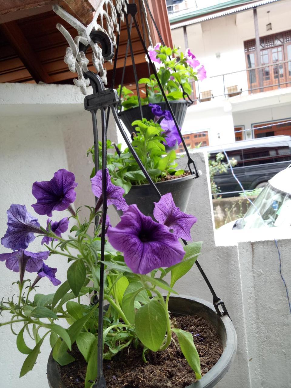 White House Ella Hotel Ngoại thất bức ảnh